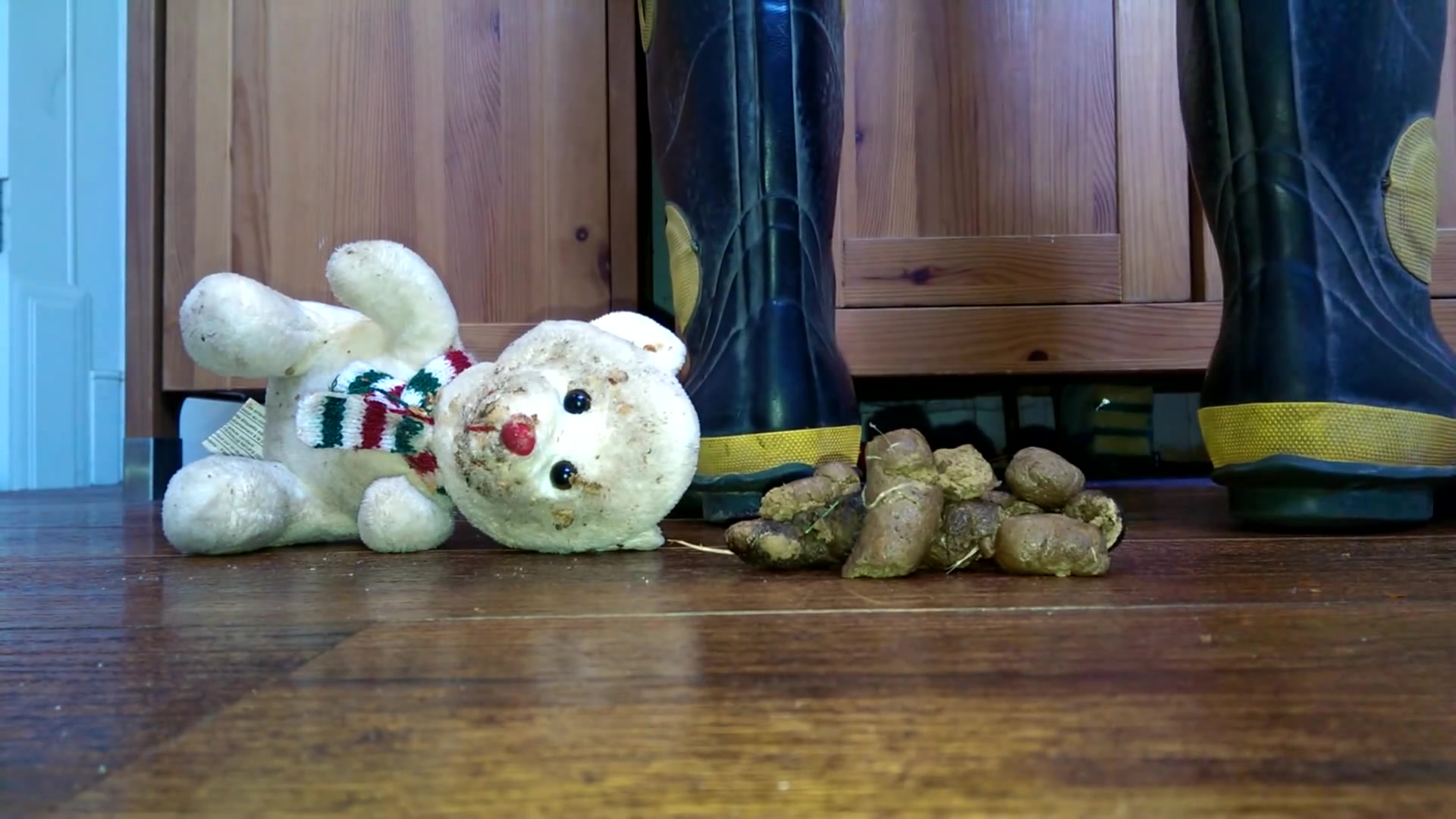 Teddy bear stomp under poop - ScatFap.com - scat porn search - FREE videos  of extreme kaviar and copro sex, dirty shit eating and smearing