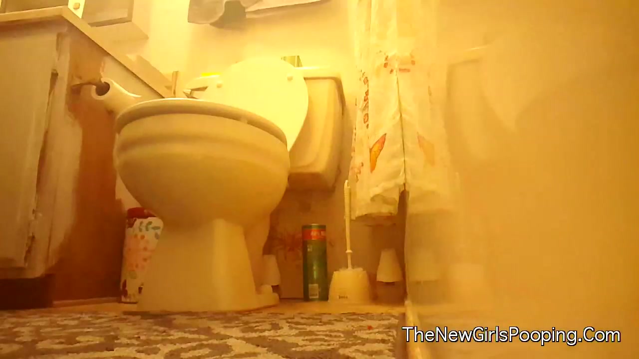 Bathroom Toilet Time 1 - ScatFap.com - scat porn search - FREE videos of  extreme kaviar and copro sex, dirty shit eating and smearing