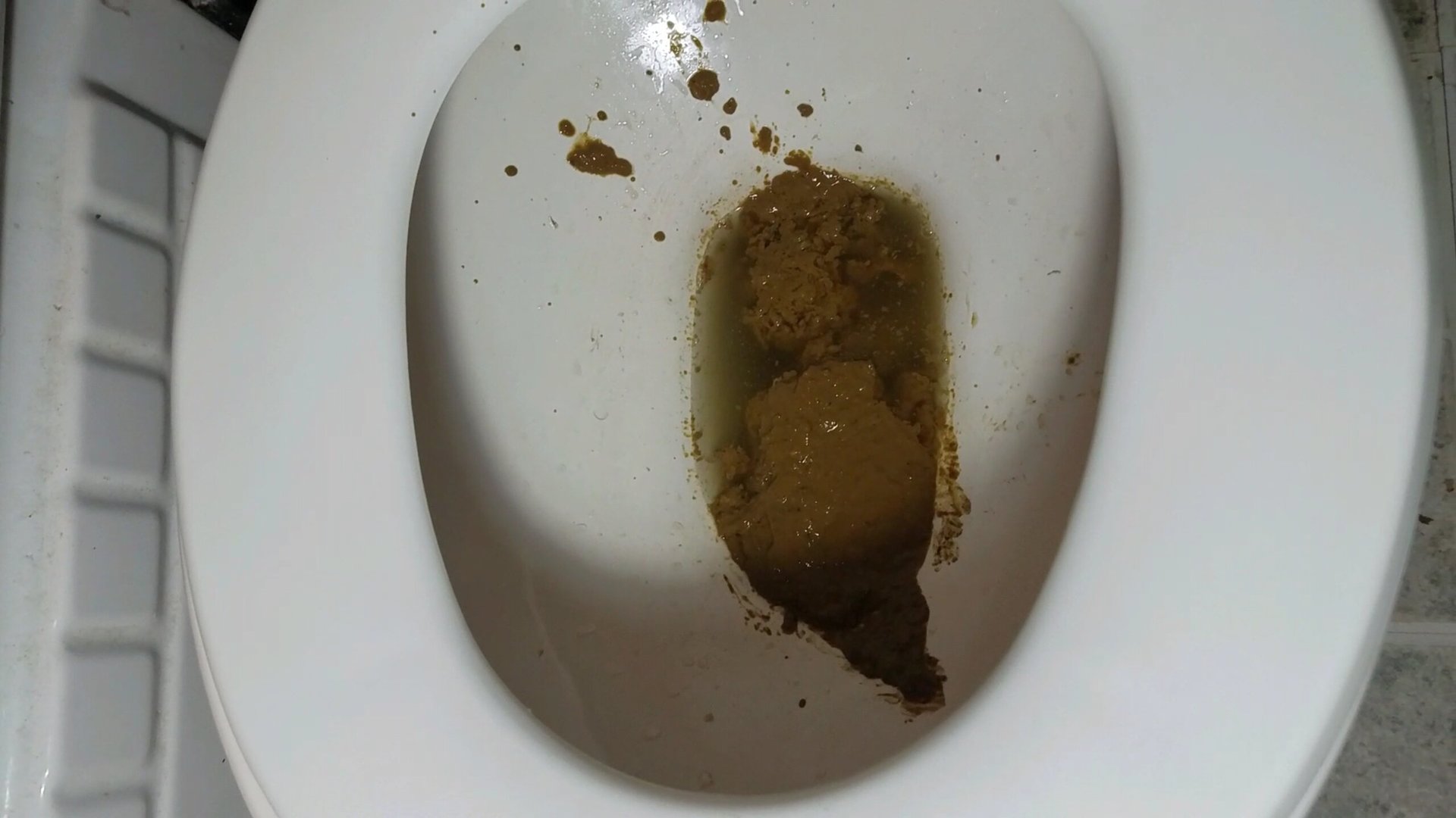 Bbw sloppy shit in toilet. - ScatFap.com - scat porn search - FREE videos  of extreme kaviar and copro sex, dirty shit eating and smearing