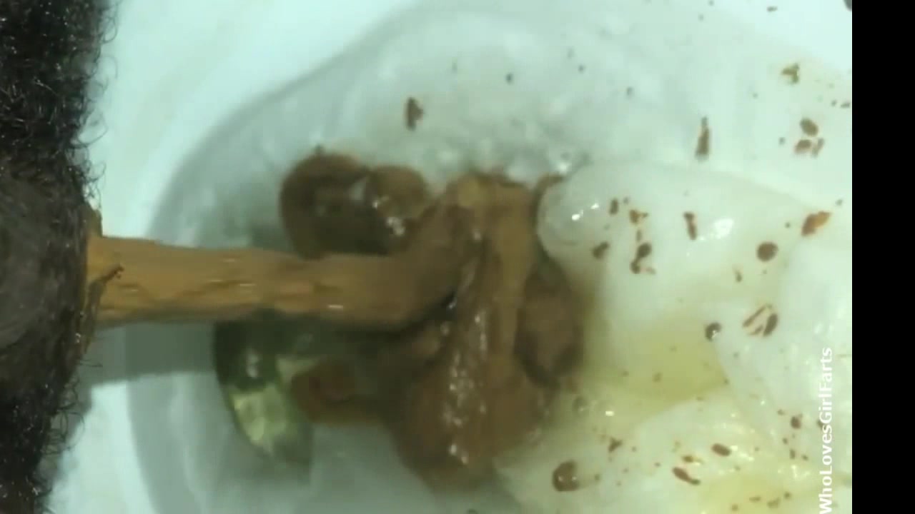 A black girl nasty dump in her toilet. - ScatFap.com - scat porn search -  FREE videos of extreme kaviar and copro sex, dirty shit eating and smearing